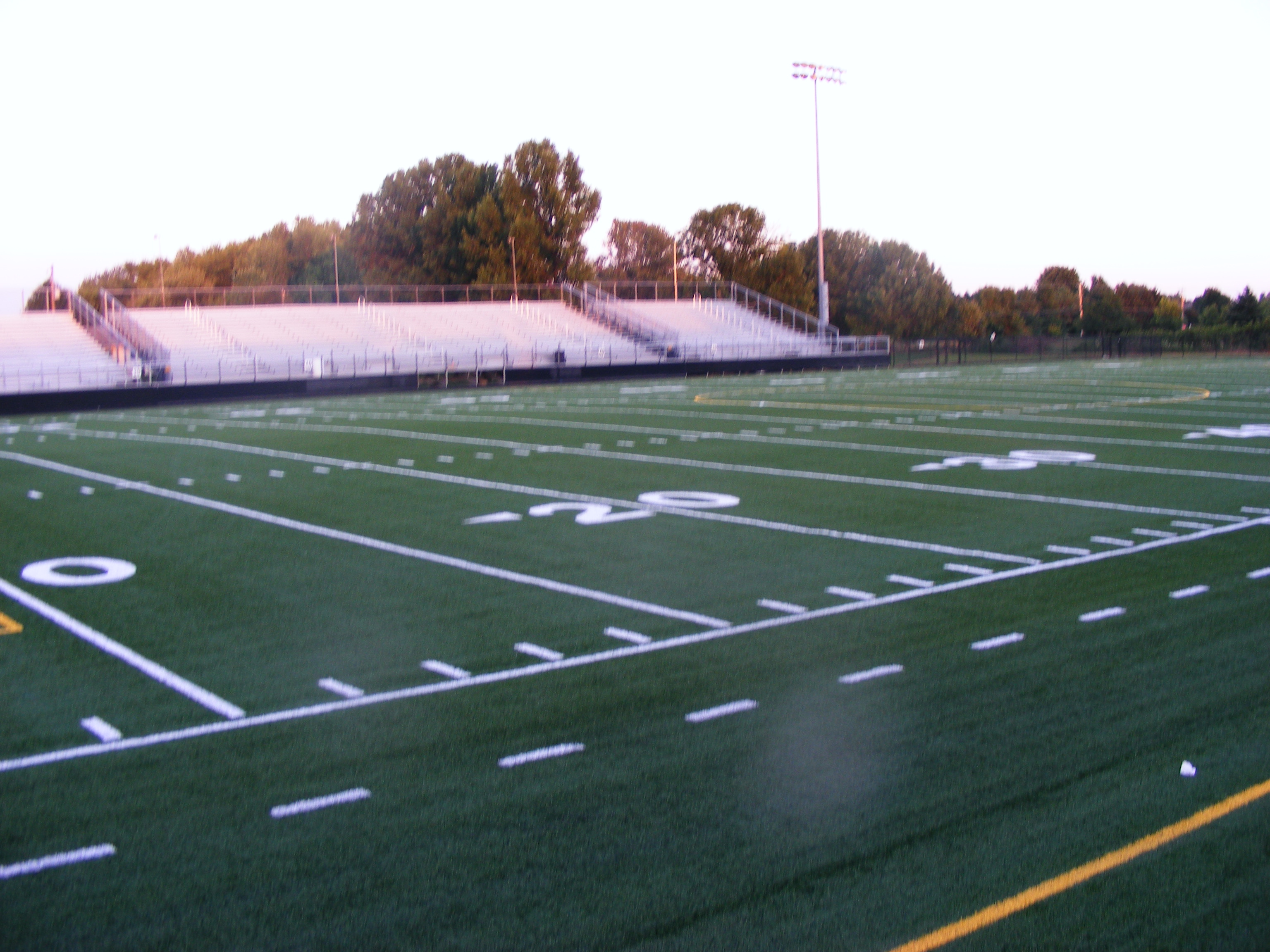 Turf 3